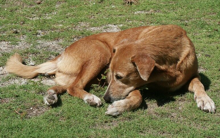 Click to See Next Image